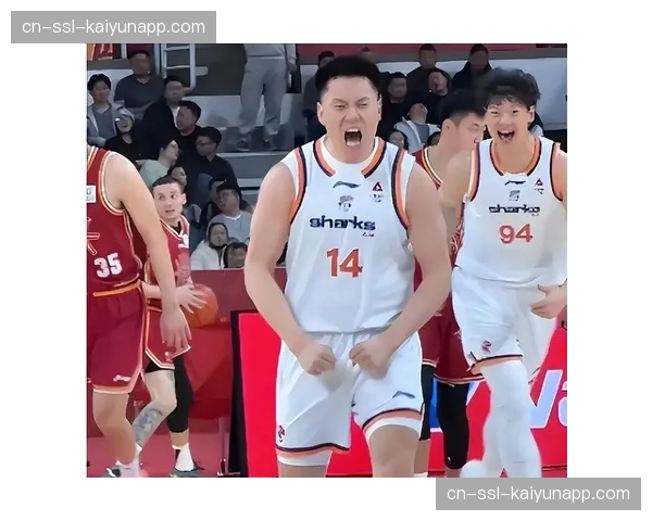 上海队本土锋线配置顶级 张镇麟李弘权刘铮组合独树一帜